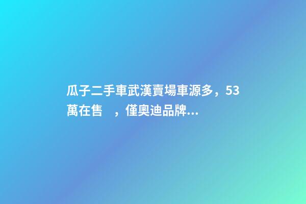 瓜子二手車武漢賣場車源多，5.3萬在售，僅奧迪品牌就有3000多輛